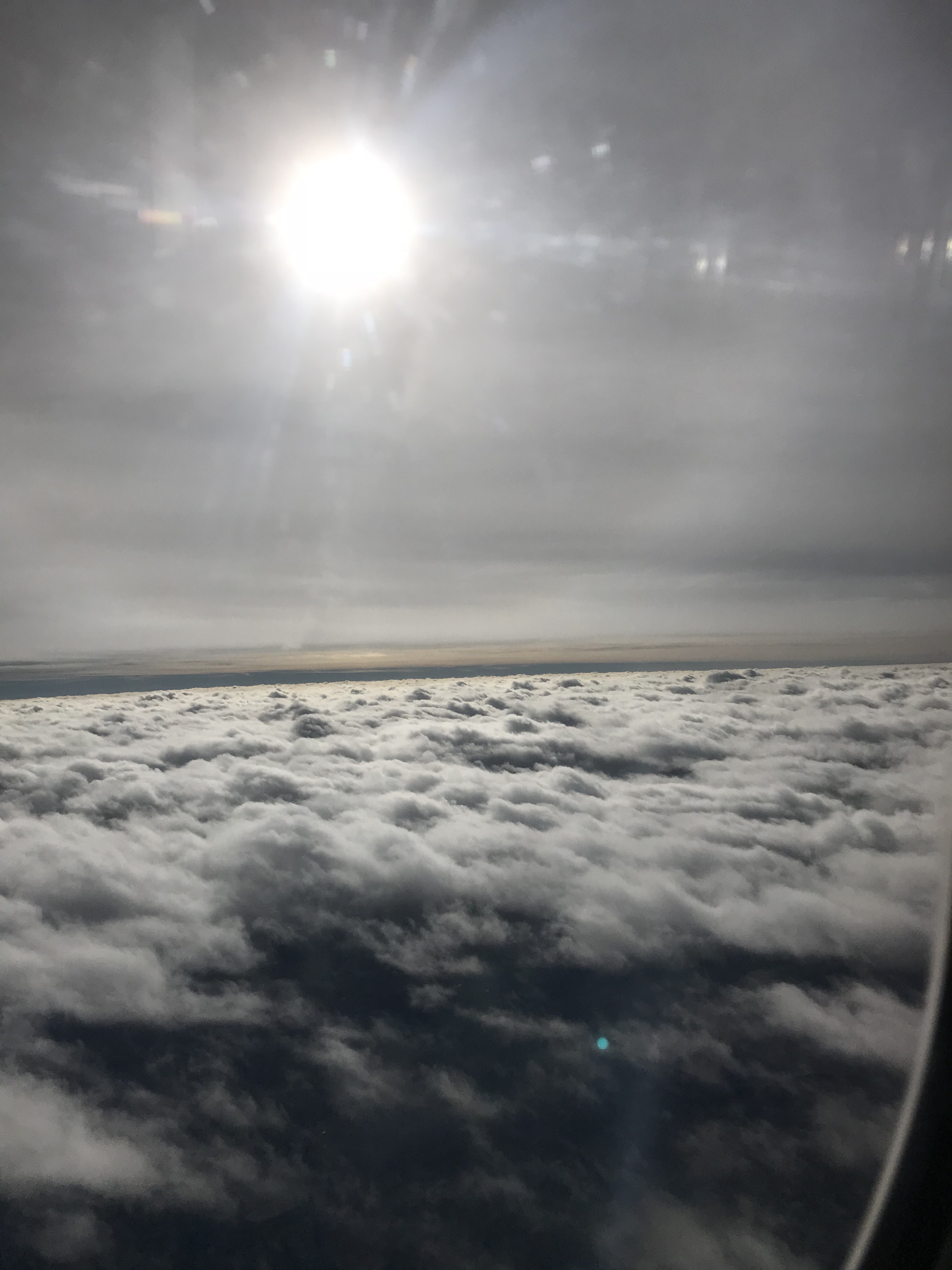 Flying High