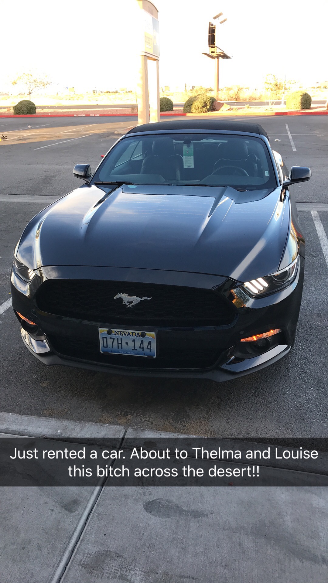 The Mustang