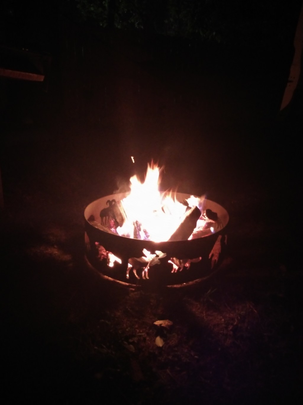 Alejandro, My One Day&nbsp;Stand