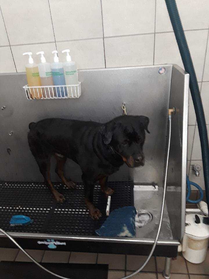 20190829_161010_1567111149715