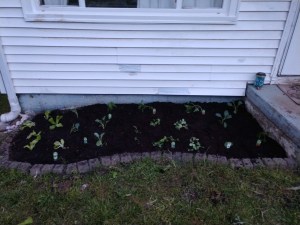 img_20200406_195917927