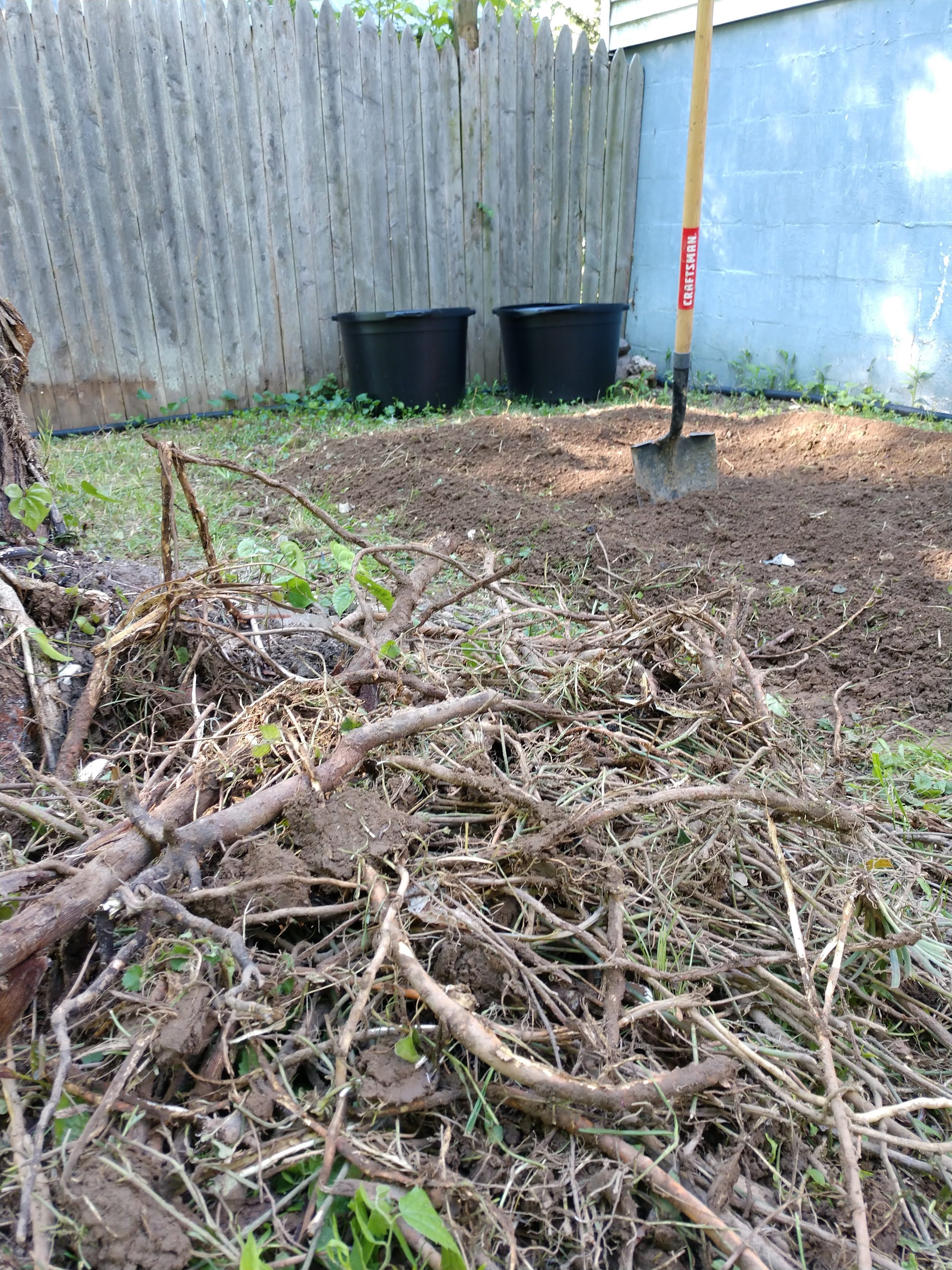 img_20200502_171958395