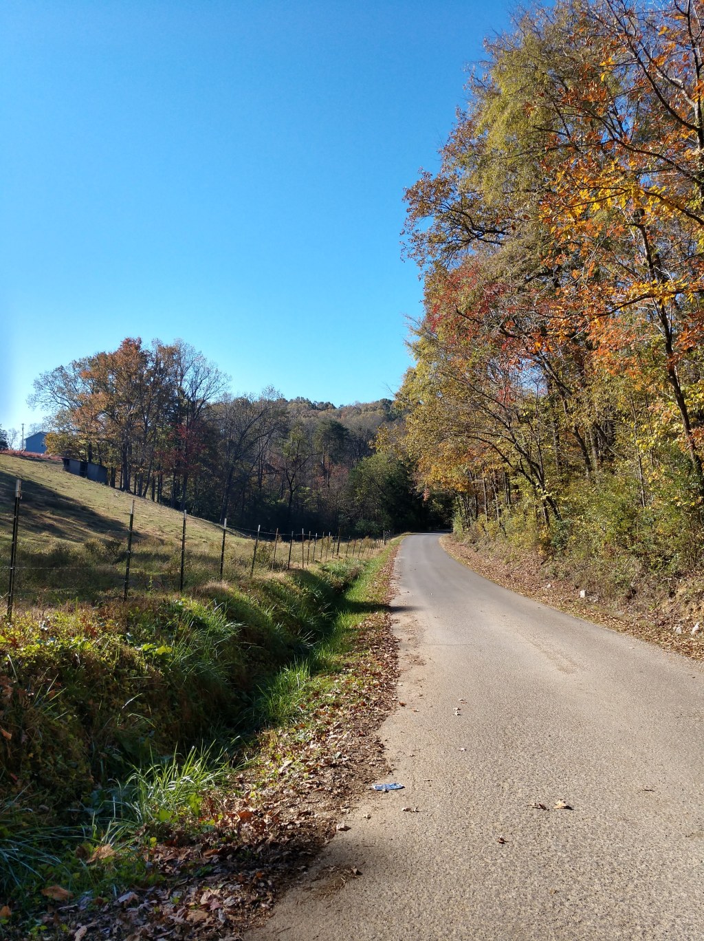 The Good, The Bad, The Seasonal&nbsp;Affective