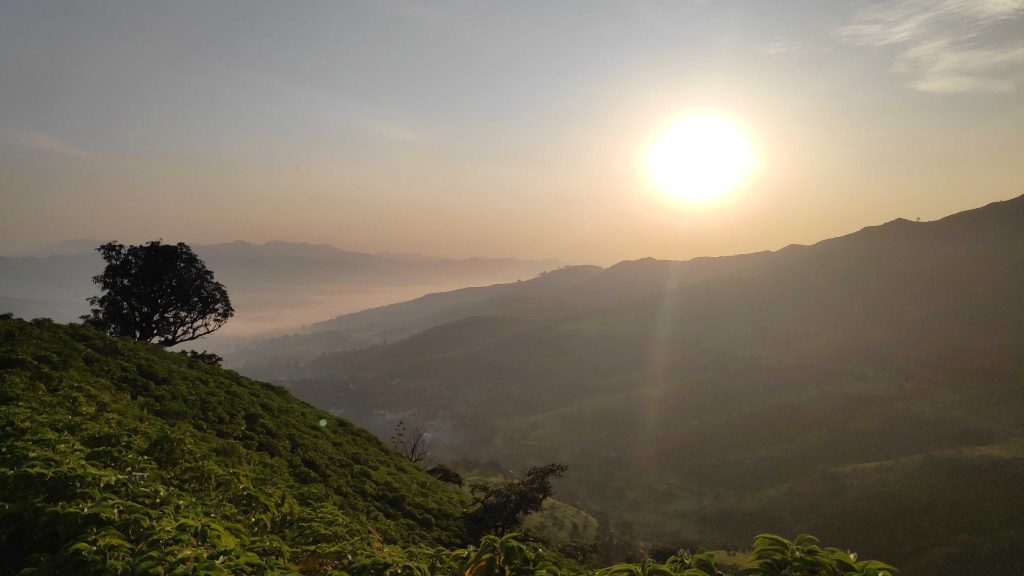 The Life-Changing Magic of Tidying Up