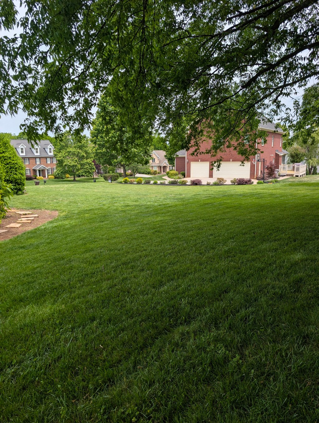 Freshly mowed lawn with long straight mowing lines stretching across the grass in late afternoon light.