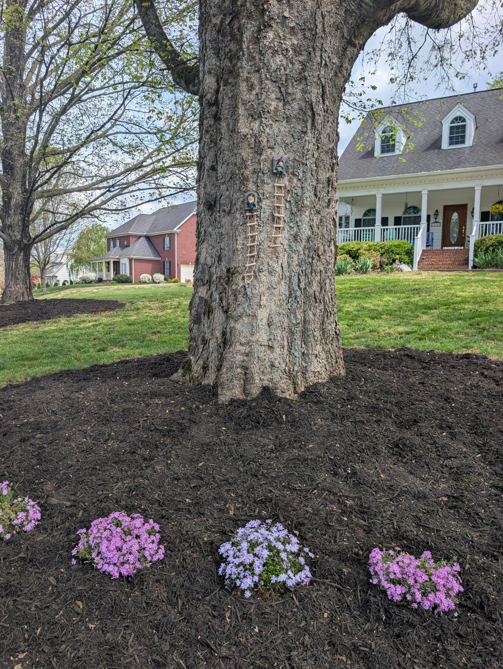 Large mature tree with spring flowers in the foreground and a red brick Knoxville home in the background.